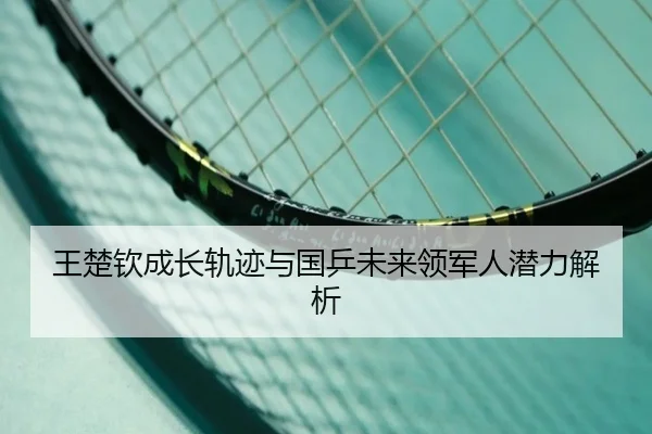 王楚钦成长轨迹与国乒未来领军人潜力解析